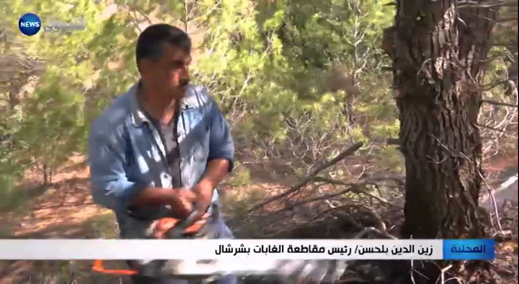 تيبازة / الغابات تستعيد حيويتها بعد حرائق 2012