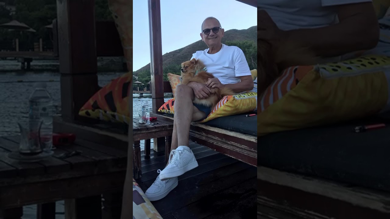 Our pets. Наши домашние животные. Evcil hayvanlarımız. #pets #icmeler #marmaris #turkey 