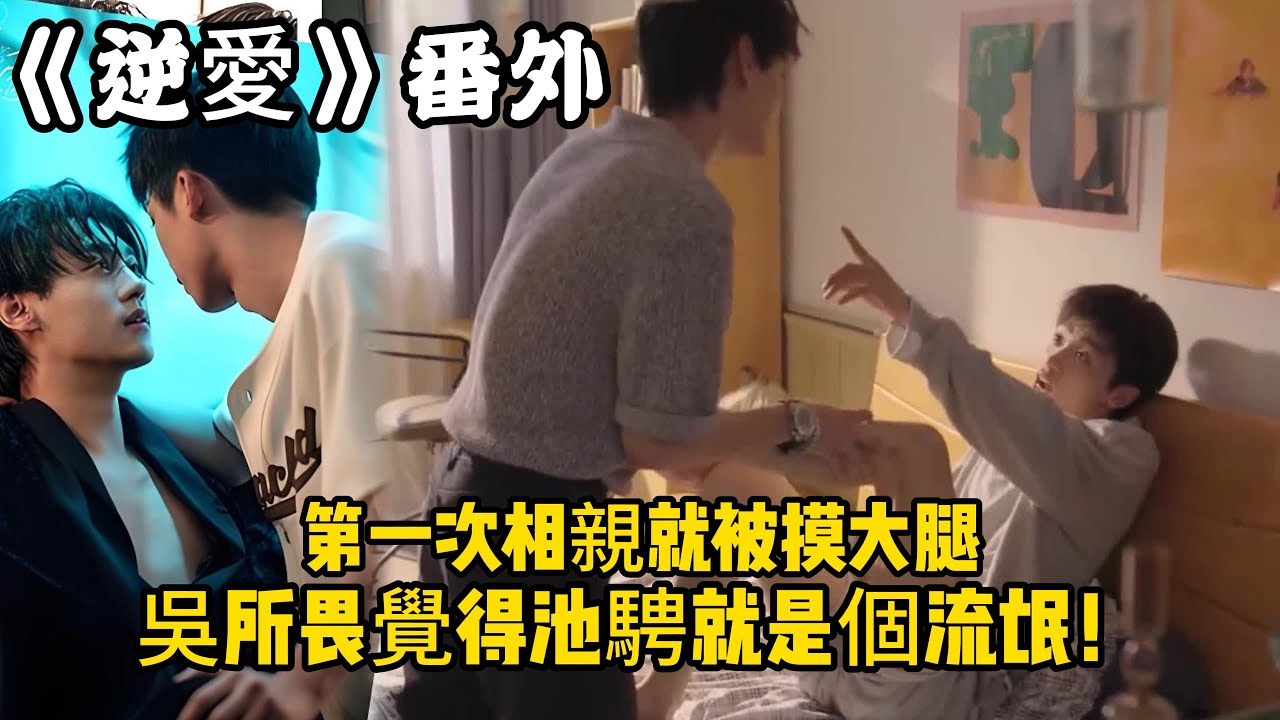 《逆愛》：番外！相親對象摸我腿！第一次相親就被摸大腿，吳所畏覺得池騁就是個流氓！