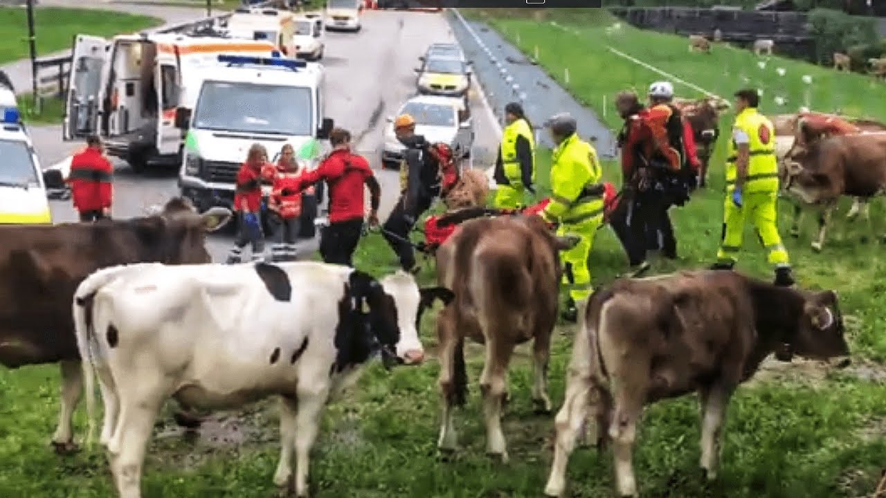 Fit für den Ernstfall - Martell 2019