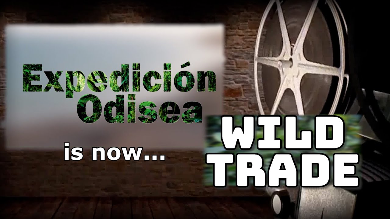 Expedición Odisea (Odyssey Expedition)