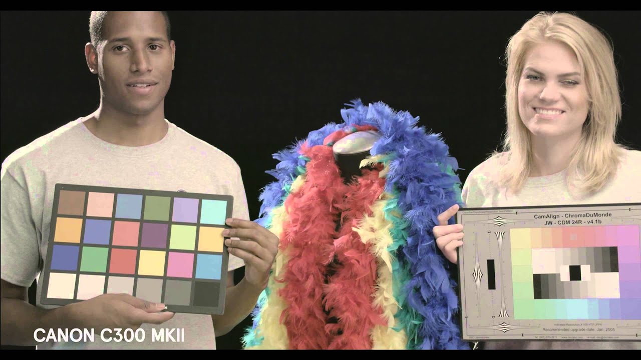 Canon C300 MKII Exposure/ Color/ Key Evaluation