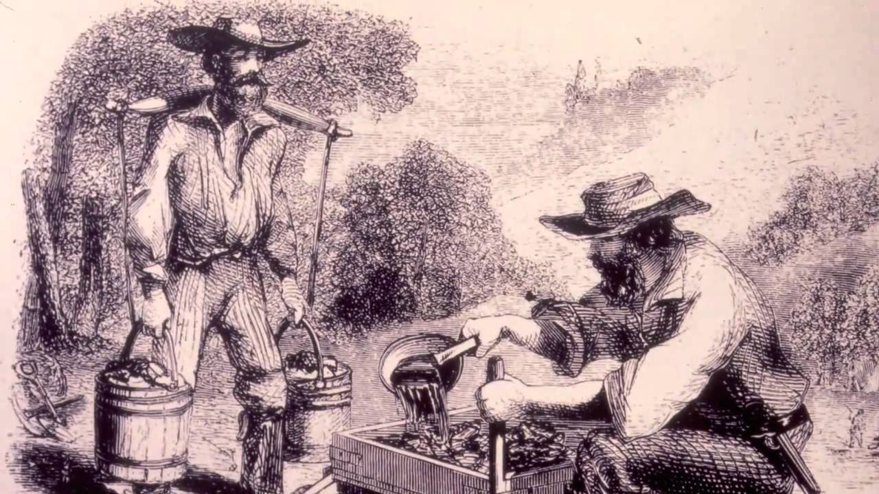 Historical Moments - Reed Gold Mine