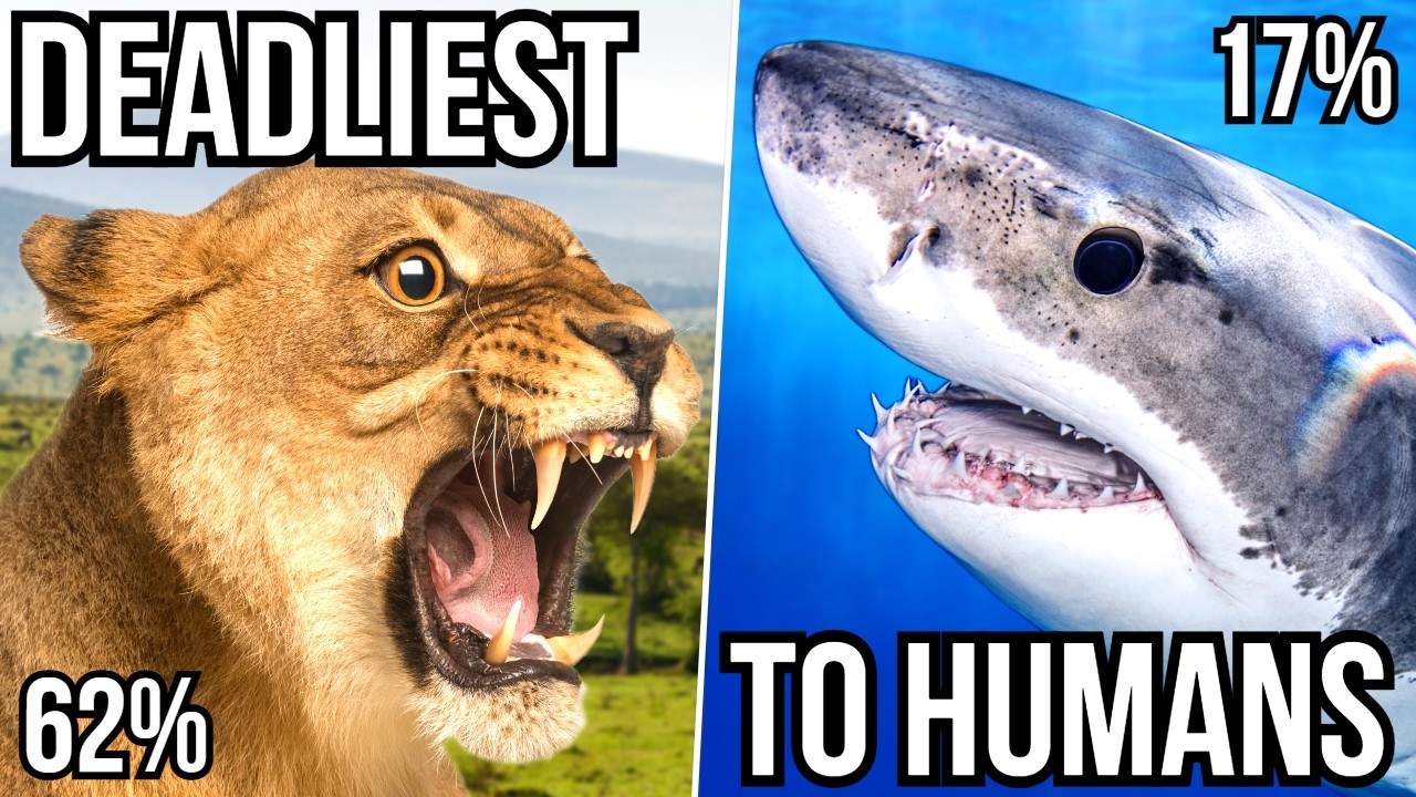Ranking 10 Large Predators By Their Fatality Rate When Targeting Humans