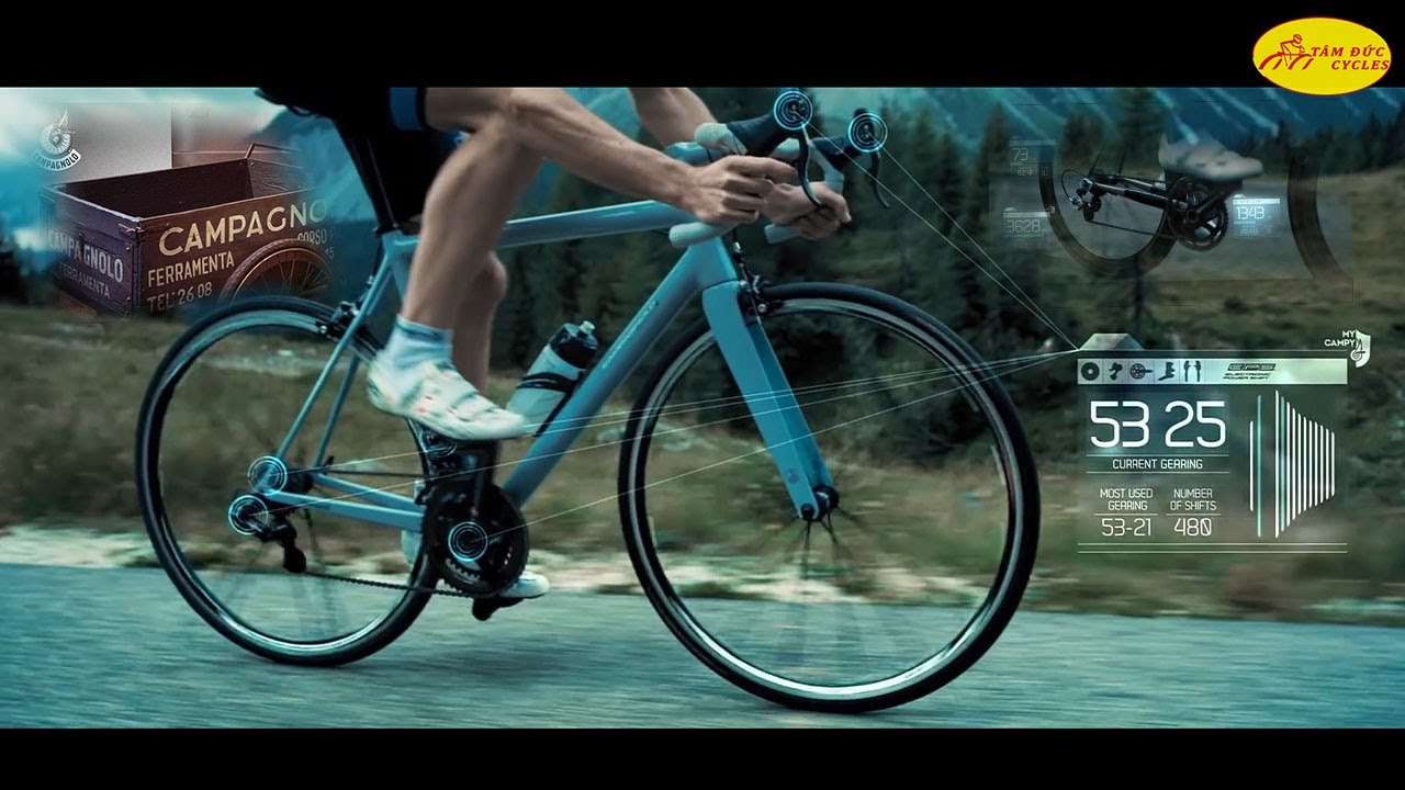 Đừng mua Campagnolo khi bạn chưa xem video này @tamduccycles