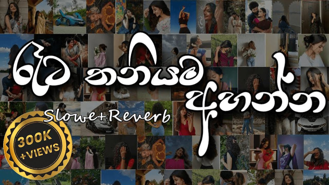 මතක අවුස්සන මනෝපාරකට | Slowed and Reverb Songs | manoparakata sindu playlist