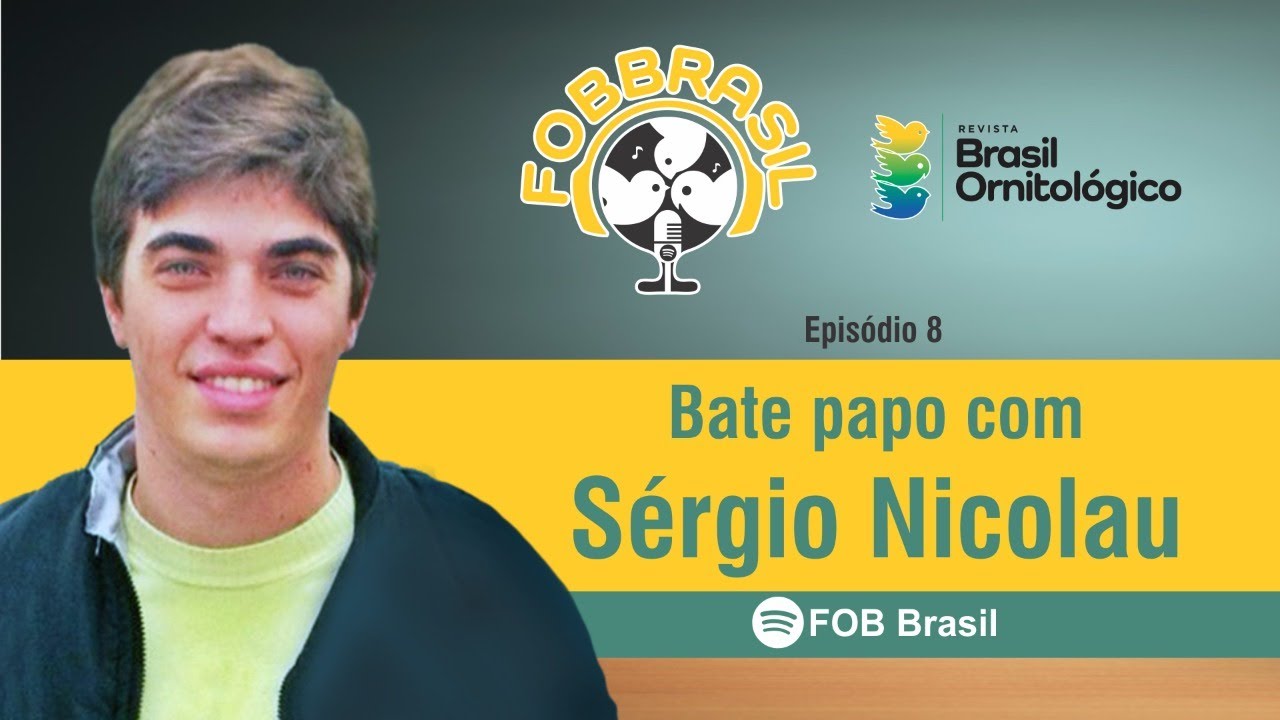Podcast FOB Brasil – ep. 08 – Canário de Cor Intenso Schimmel – como identificar
