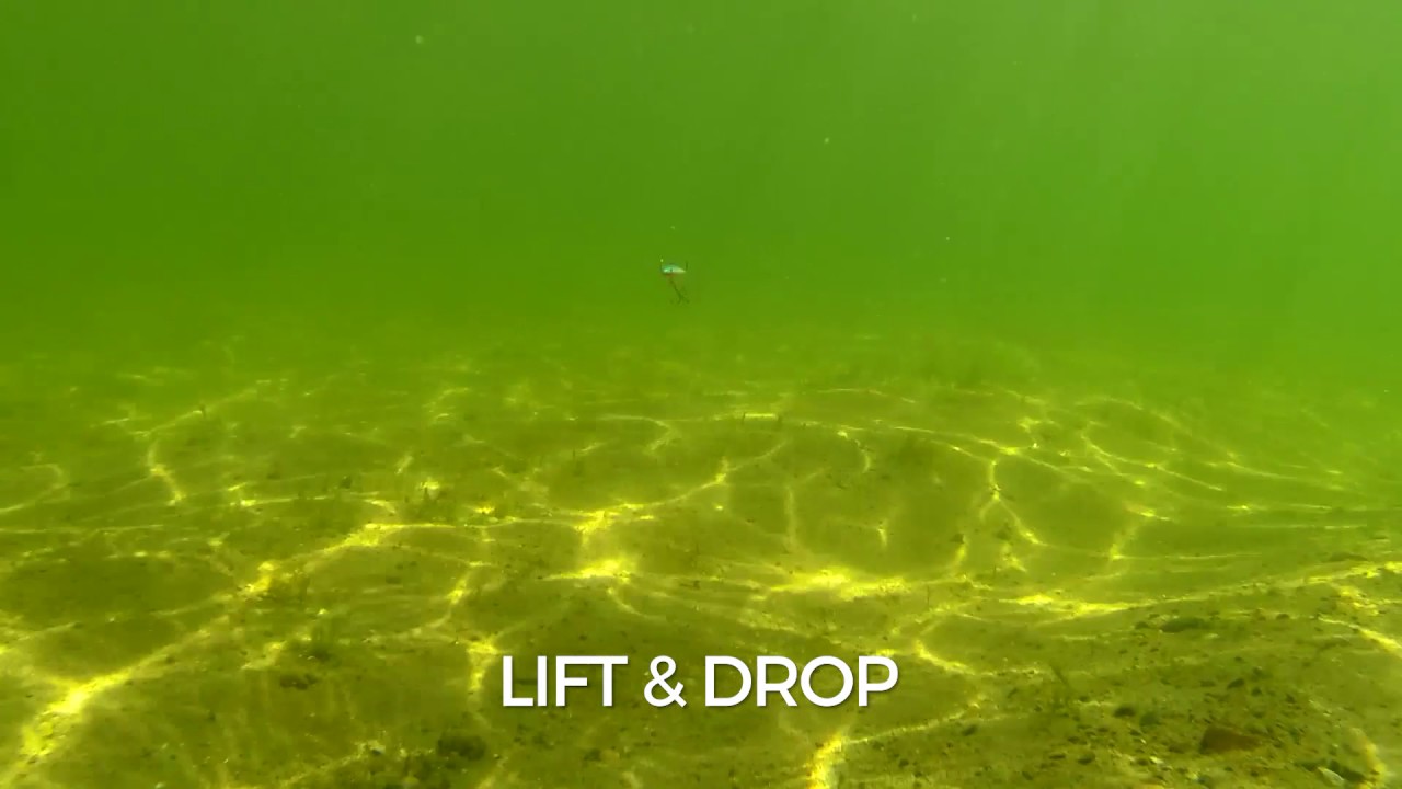 Swimming Action: Rapala Flat Jig