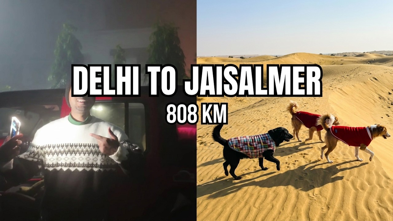 Ek Din Mein Delhi to Jaisalmer with 3 Dogs 🐾 | Epic 808 KM Rubicon Road Trip #viral #jaisalmer #pets