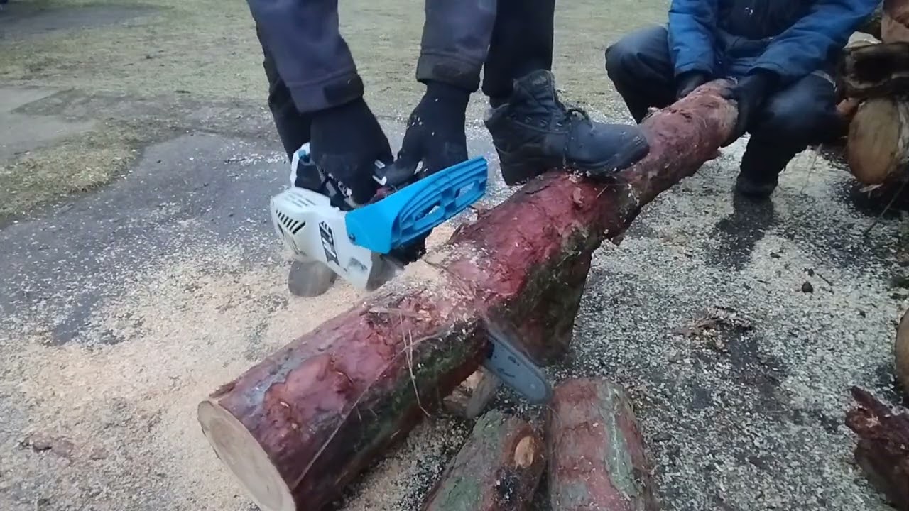Piła gałęzi&oacute;wka mccalister, na gaźniku walbro 
