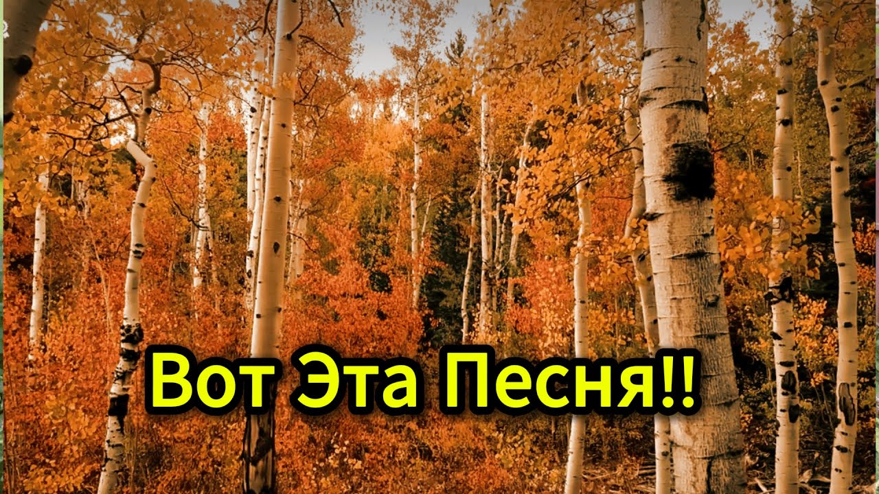 От Этой Песни Всегда Плачу😪 Разъезжаются дети!!