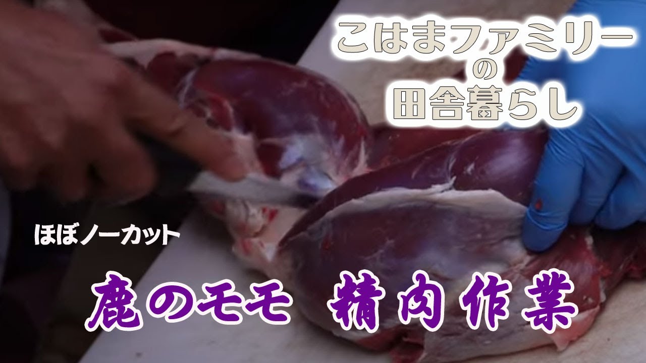 【令和6年　自給自足ファミリーによる　鹿のモモ肉の精肉】～ほぼノーカット～
