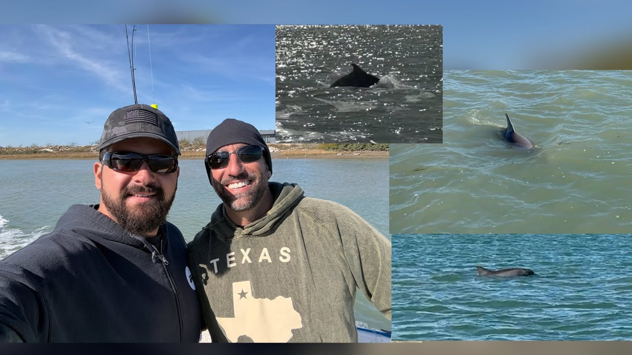 Duck Hunt Turned Dolphin Watch | Boat Ride on the ICW – South Padre & Port Isabel TX