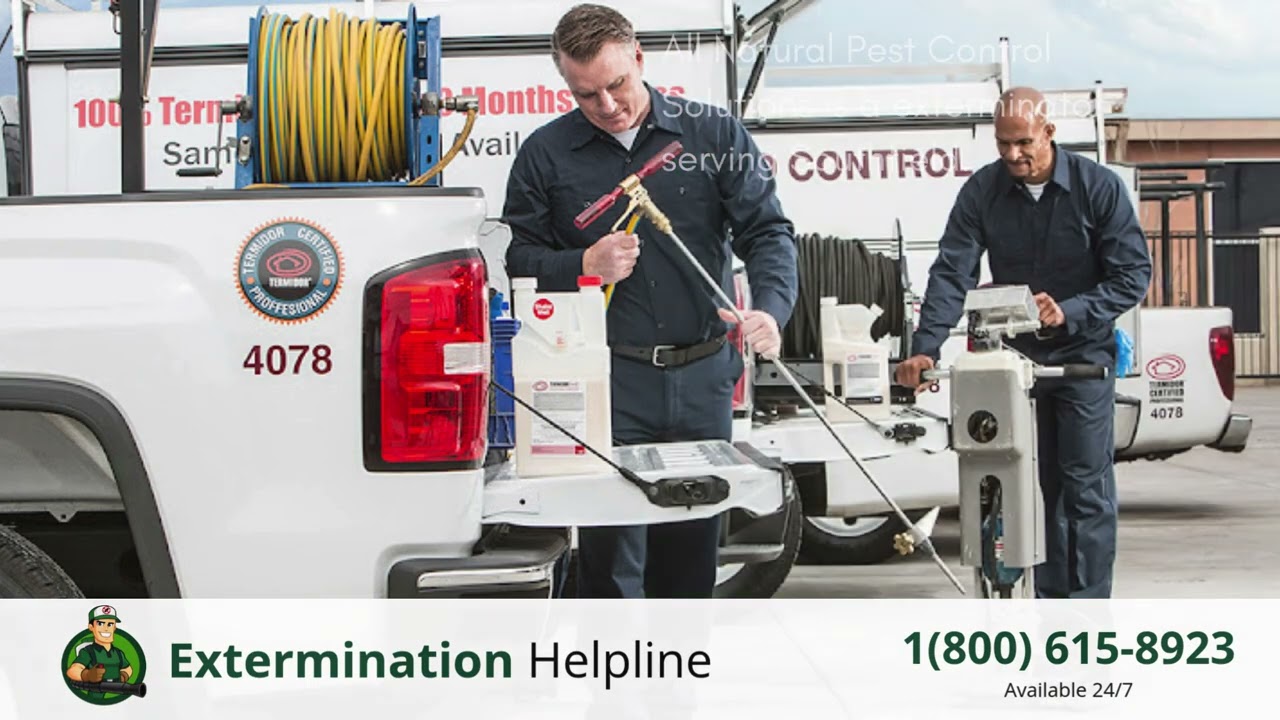 Top 3 Exterminators in Southfield