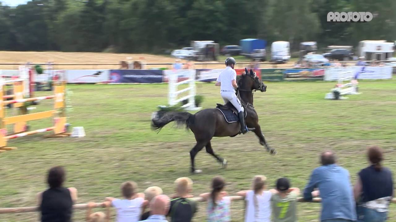 Otto Vaske m. Stakkato Special Ahlhorner Reitertage Gr.Preis Umlauf