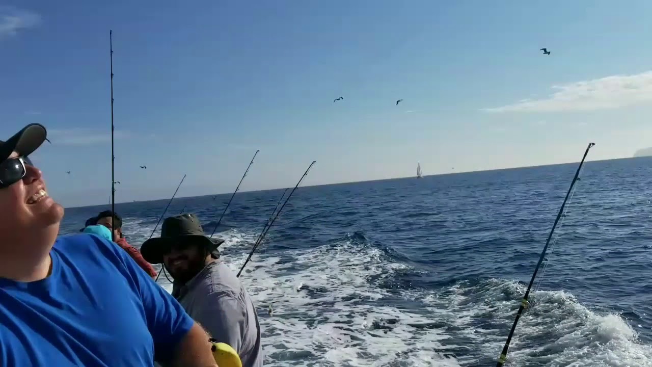 No Bananas On The Boat!