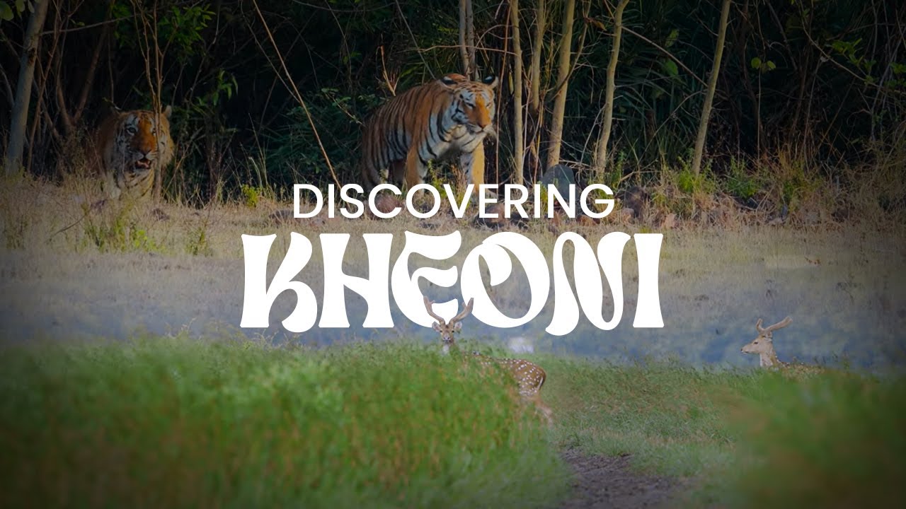Kheoni Wildlife Sanctuary | Madhya Pradesh&rsquo;s Hidden Forest Paradise 🦜🌿