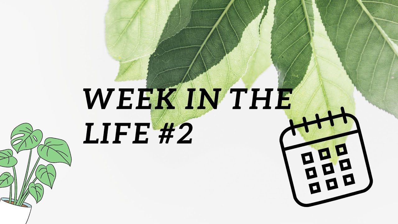 Week In The Life #2