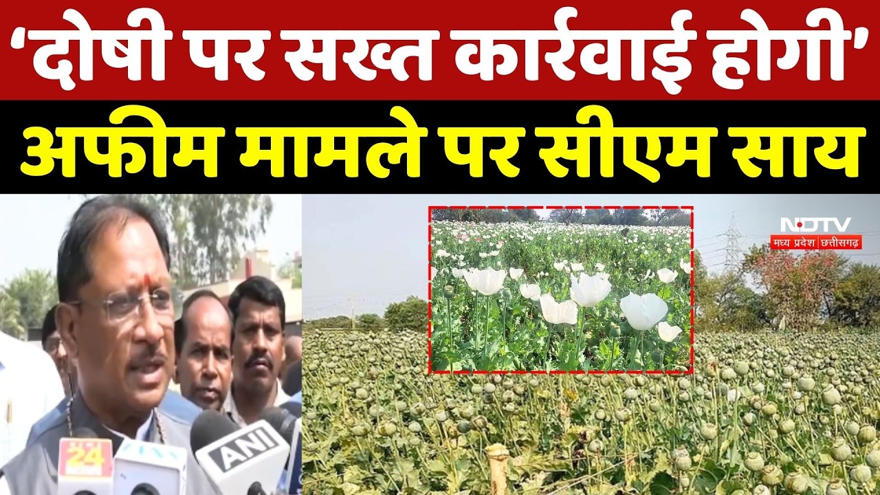 Durg Opium Farming Case: 'दोषी पर सख्त कार्रवाई होगी' अफीम मामले पर CM Sai | Chhattisgarh News