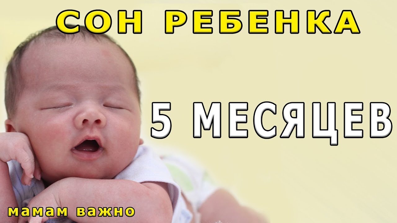 Сон ребенка в 5 месяцев