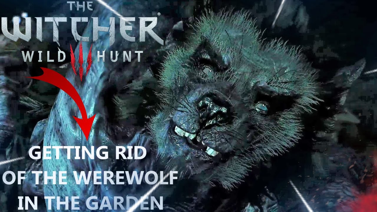 Getting Rid of The Werewolf in The Garden - The Witcher 3