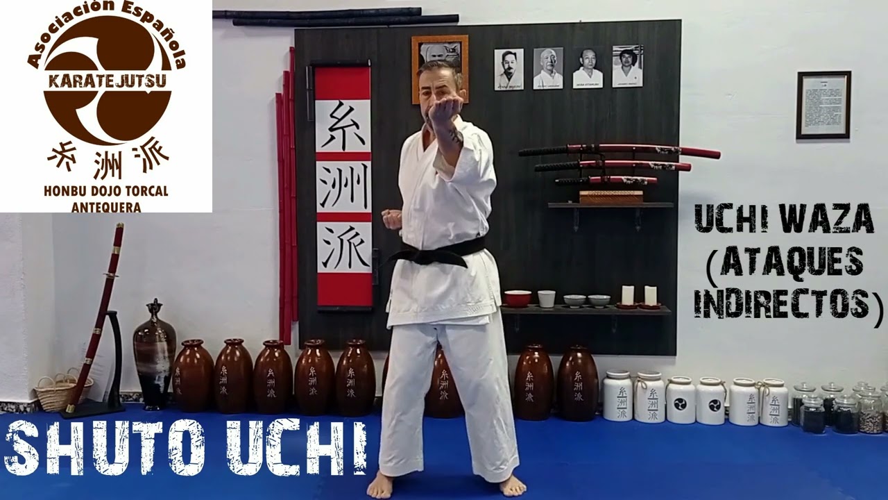 UCHI WAZA( ATAQUES INDIRECTOS)