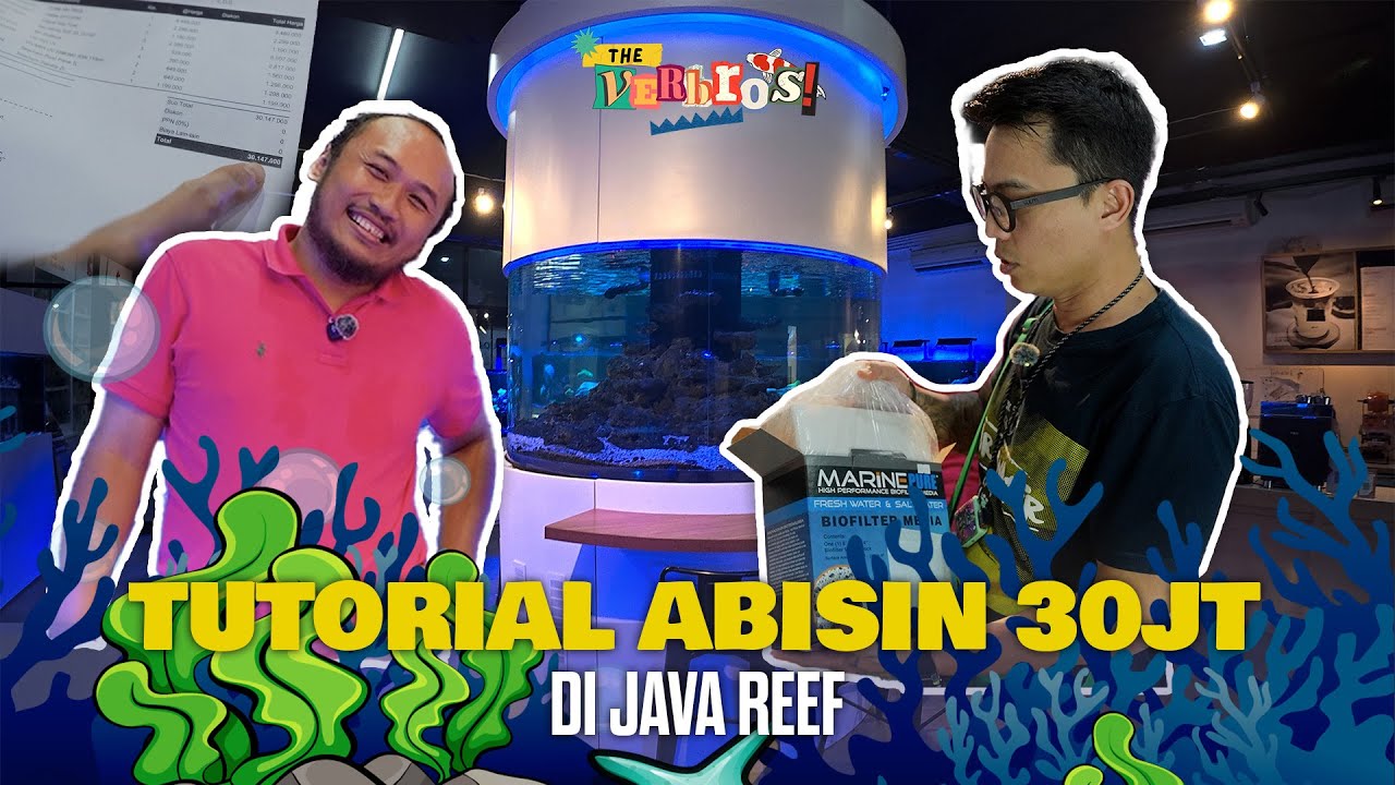 TUTORIAL HABISKAN THR 30JT DI JAVA REEF , BELANJA SEMUA KEBUTUHAN KOLAM HULA HULA KOI
