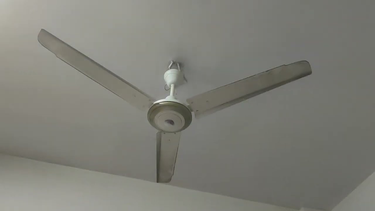 Kashmir Ceiling fan