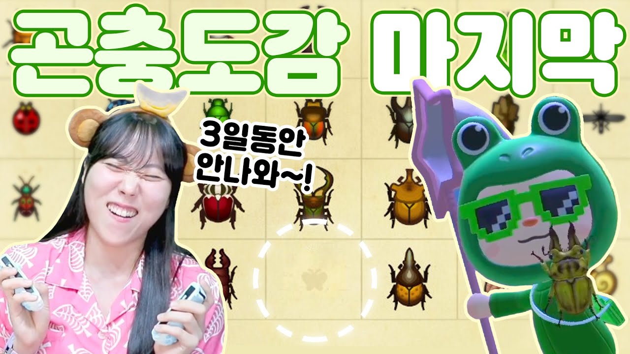 모동숲 4년차, 황금사슴벌레 잡기 도전!!!