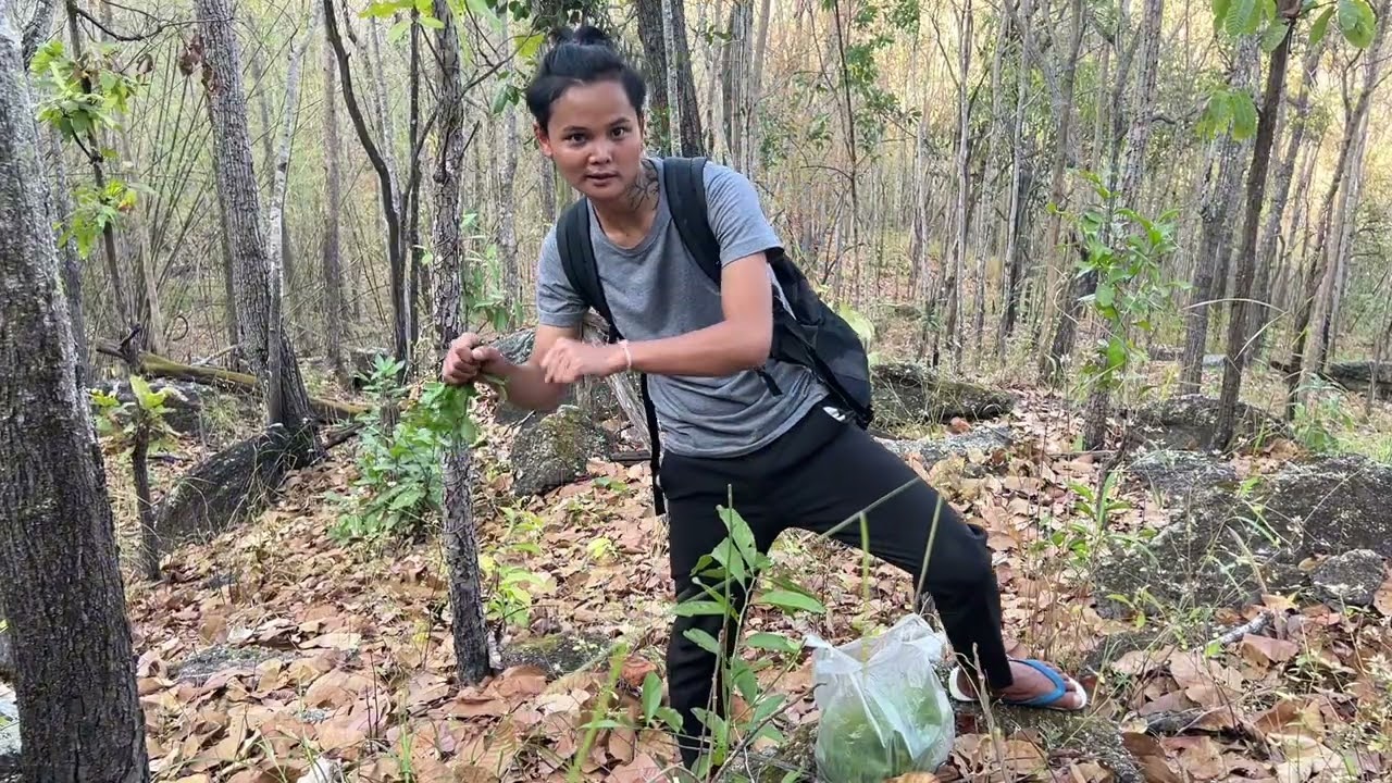 ออกหาผักหวานป่า“ท่ามกลางอากาศที่ร้อนระอุ!!แต่ก็ได้ผักหวานมาเยอะมากๆ ￼