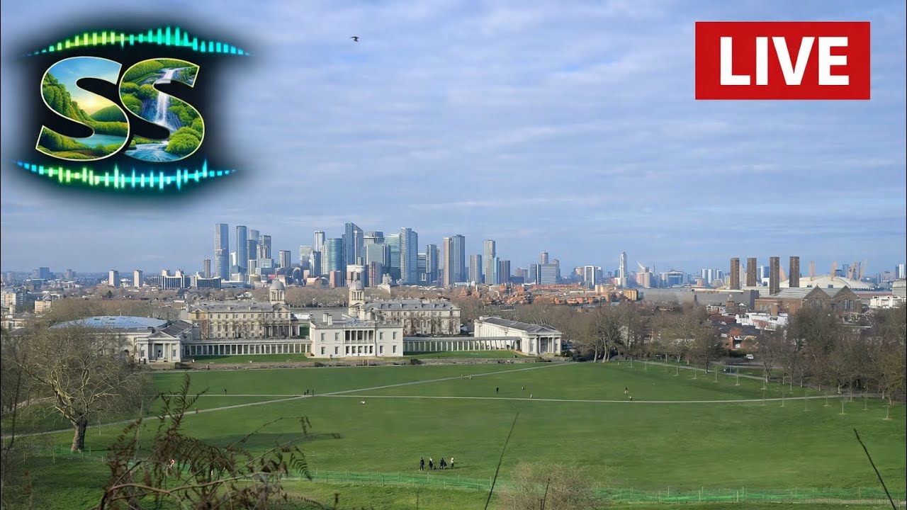 Surrounding Sounds - Greenwich Park (London) #calm #greenwichpark #nature 