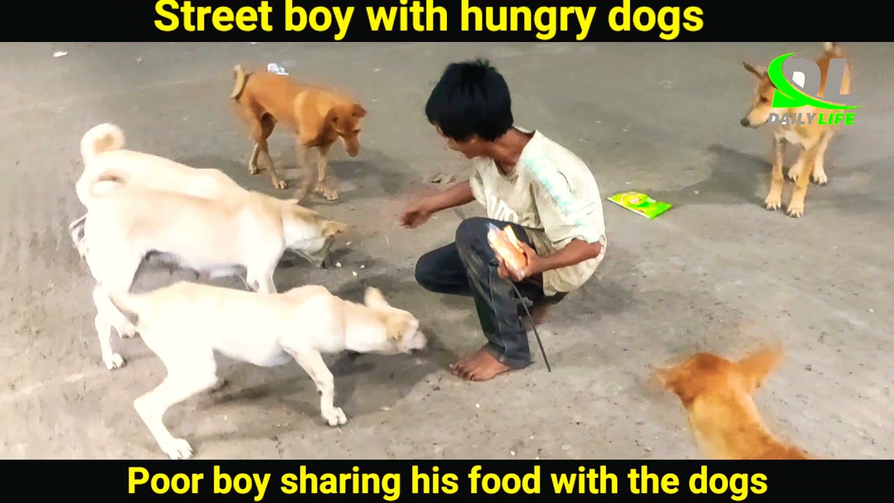Poor street boy sharing his food with the street hungry dogs | this is the humanity.