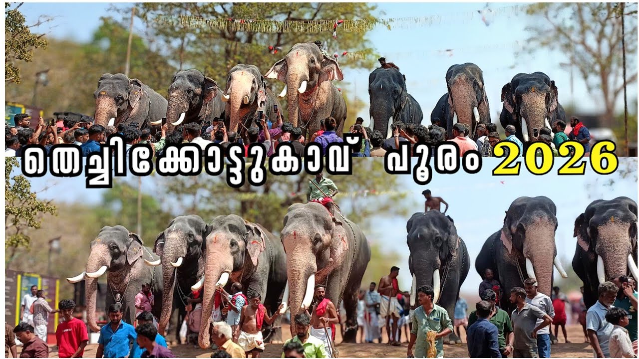 രാമന്റെ സ്വന്തം പൂരം❤തെച്ചിക്കോട്ടുകാവ് പൂരം| Thechikkottukavu Ramachandran |Thechikkottukavu pooram