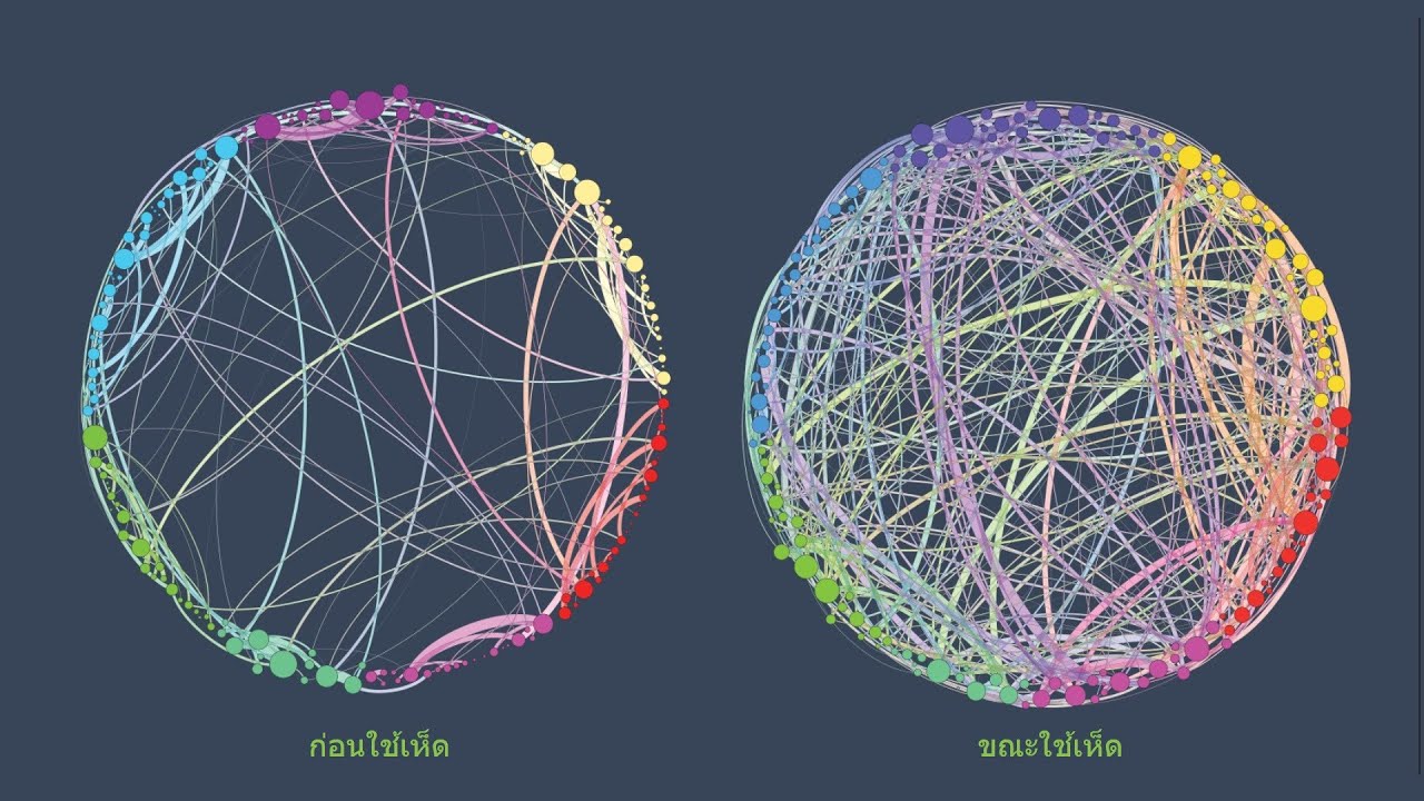 บำบัดซึมเศร้าด้วยสมุนไพรเปิดจิต Treating depression with psychedelic plants (in Thai)