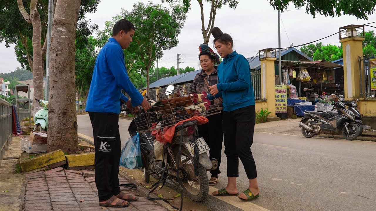Catch Chickens to Sell at Market, Buy Materials to Pour Bathroom Ceiling | Family Farm