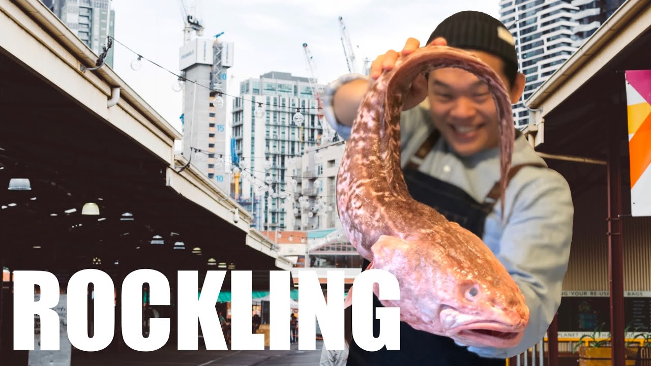 【How to fillet a fish!!】Australian Rockling