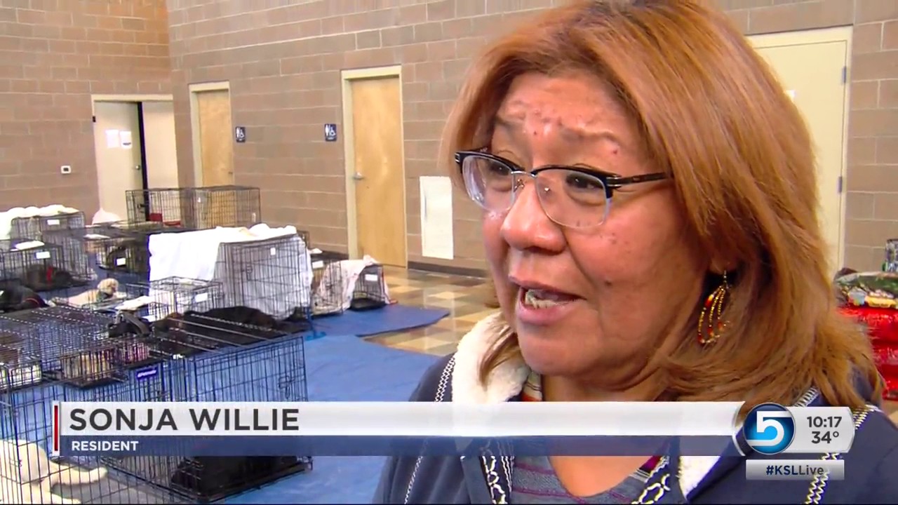 Park City group travels to Ute reservation to help with pet overpopulation