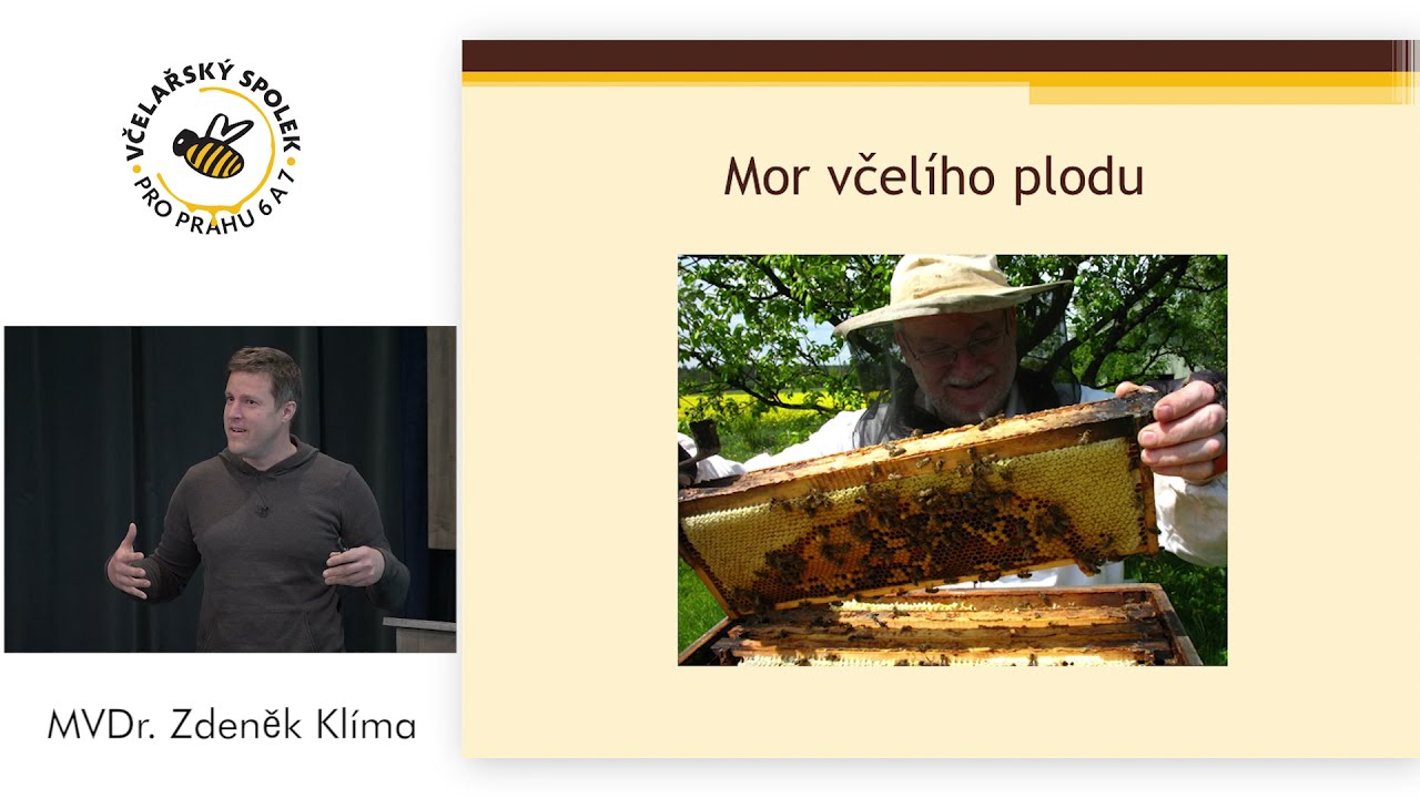 MOR VČELÍHO PLODU od A do Z  přednáší MVDr. Zdeněk Klíma