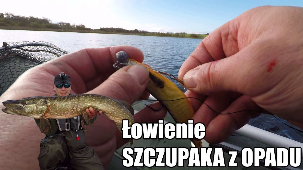 Listopadowe SZCZUPAKI | WESTIN Shad Teez w OPADZIE