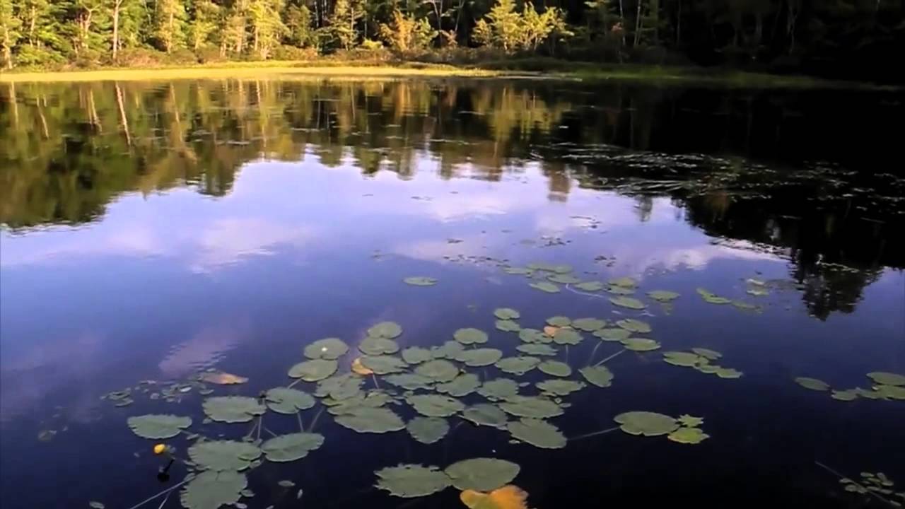 What Maine Outdoors is all about