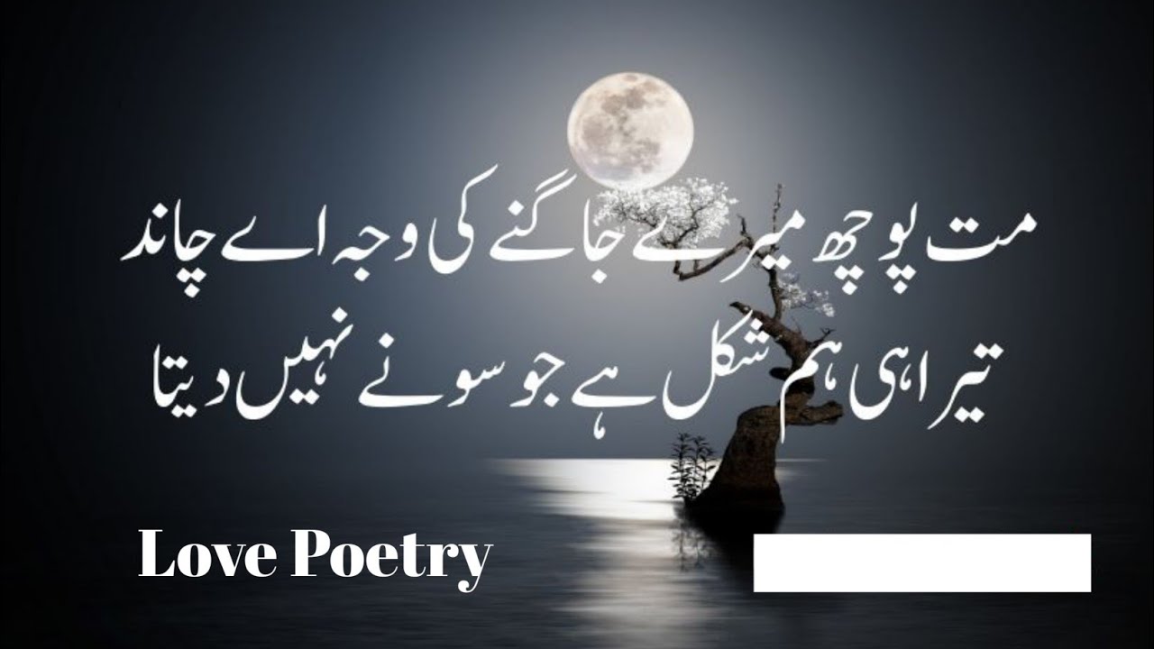 2 Lines Romantic Shayari | Dil Ko Choo Jane Wali Love Poetry 💘