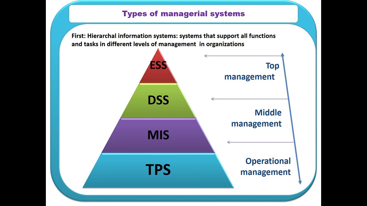 تخصص نظم المعلومات الإدارية   Management Information System (MIS)