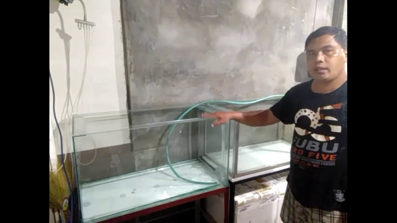 Paano ako maghanda ng paglalagyan ng Live Tilapia? #LIVE TILAPIA BUSINESS