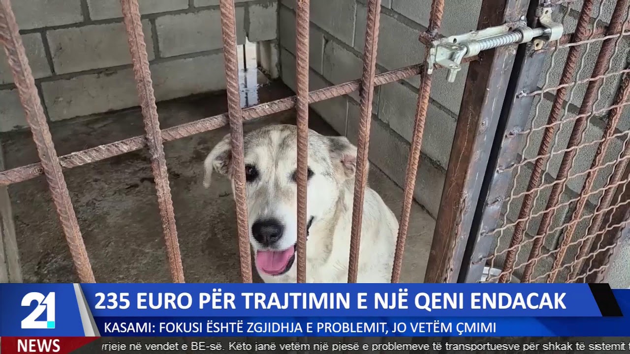 #21LiveNews   18:30 Lajmet në gjuhën shqipe | 08.2.2026