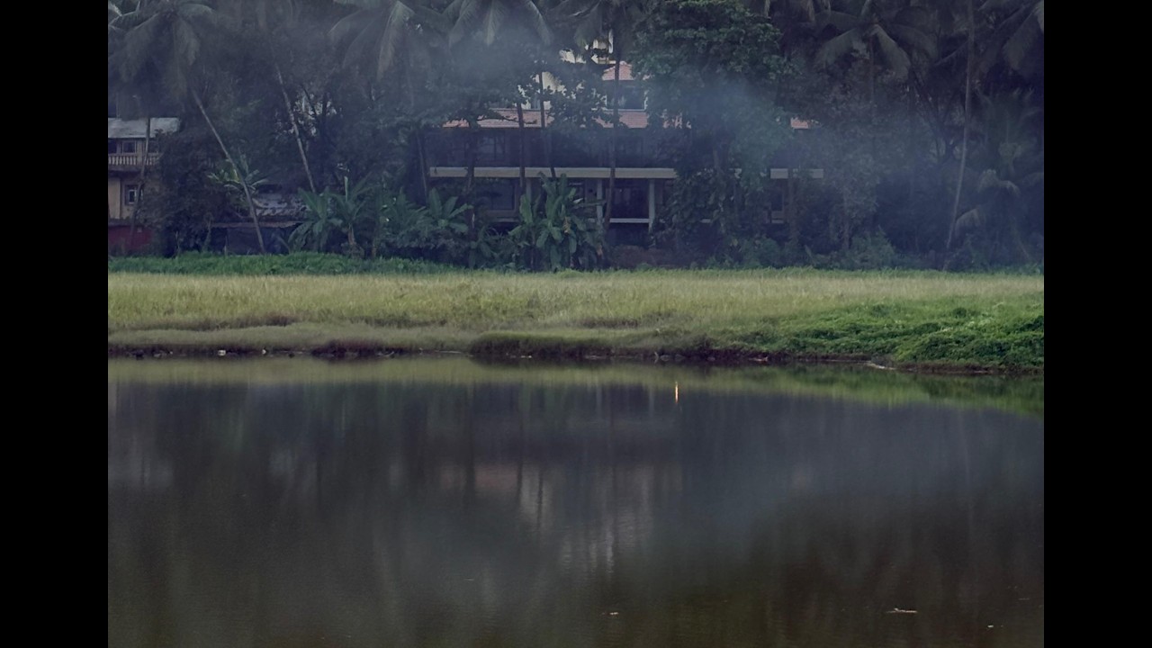 Solo Trip to South Goa 🌴 | Beaches, Sunsets & Travel Vlog 2026