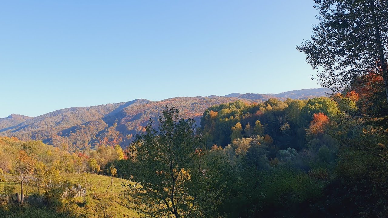 Fibro Calm &icirc;n Nature