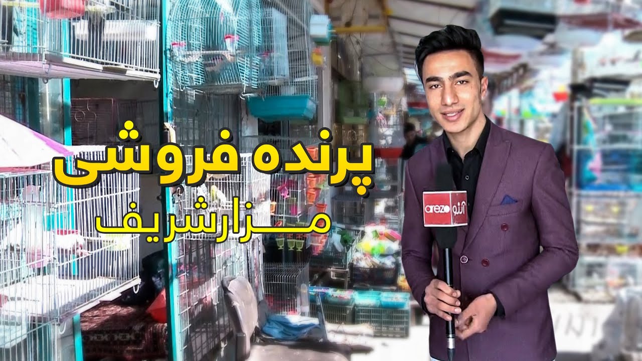 گزارش ویژه - بازار پرنده فروشی مزارشریف