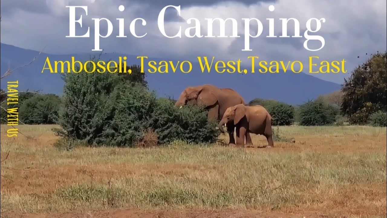 Epic 3-Night Camping Adventure in Amboseli, Tsavo West & Tsavo East | Stunning Safari Scenery