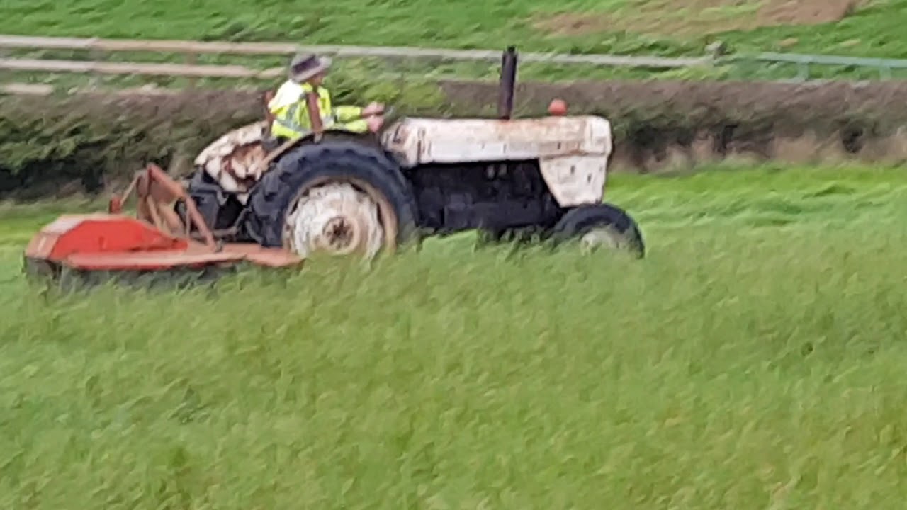 David Brown 880, 50 years old. Deutz Fahr mower,still going strong