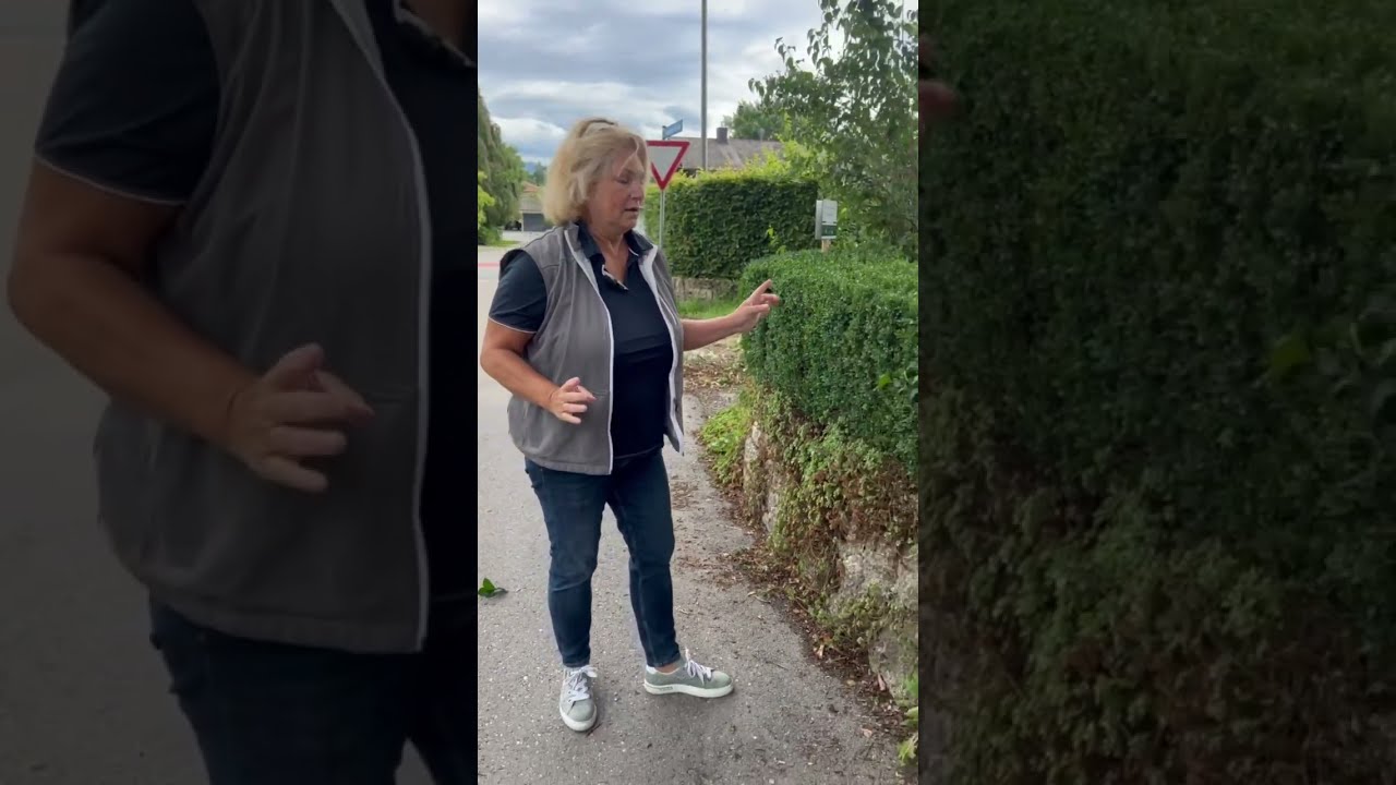 Buchsbaum- Hecke vor dem Zünsler schützen